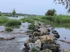 -绿堤公园