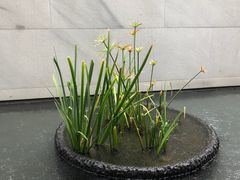 -养云安缦·廊