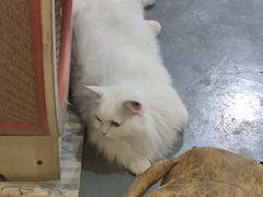 -小时光咖啡馆(开森度假森林店)