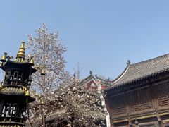 -长春观