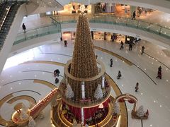 -西西弗书店&矢量咖啡(万象城店)