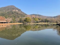 -八卦田遗址公园