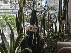 -隅乐胡椒虾·台湾菜·团建(皇岗店)
