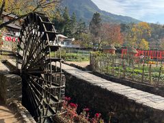-塔川景区