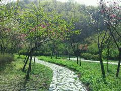 android_upload_pic-南山风景名胜区