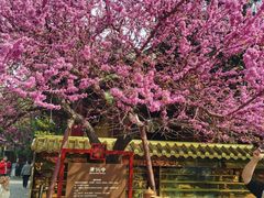 -西安市广仁寺