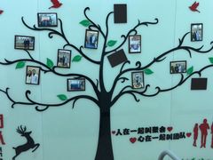 -茂菊口腔连锁(浦东南路店)