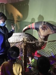 -恐龙探索乐园(磁器口店)