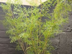 -宫七SPA·高端Massage(浦东大道店)