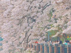 -红星桥(地铁站)