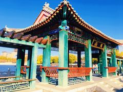 -莲花池公园