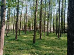 -河南省黄河迎宾馆