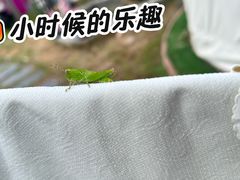 -洛阳市隋唐城遗址植物园