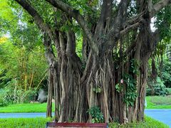 -人民公园(罗湖区)