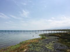 -青海湖仙女湾景区