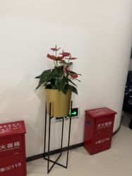 -丰联丽格医疗美容·联合丽格眼整形中心
