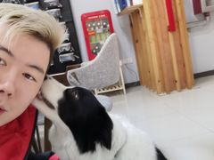 -上海潜殿潜水中心