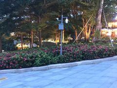 -欢乐海岸水秀剧场