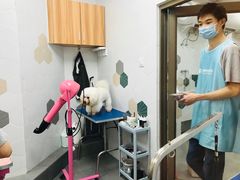 -瑞鹏宠物医院·骨科·猫科·内科(第一中心)