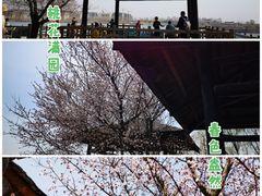 -沈阳鸟岛