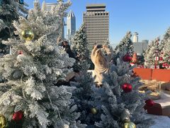 -城市露台景观餐厅(淮海路店)