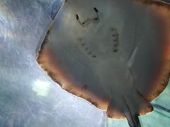 -南昌海洋公园