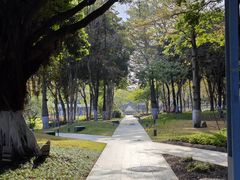 -深圳市人才园(深南大道店)