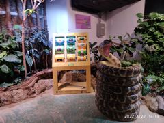 -正佳雨林生态植物园