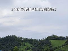 -关山草原