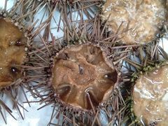 -宾朋海鲜特色美食餐厅·纯手工鲅鱼水饺(兴海路店)