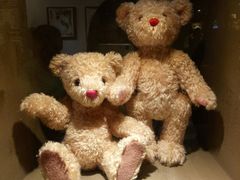 -济州岛泰迪熊博物馆