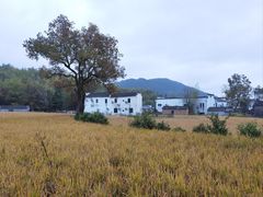 -塔川景区