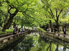 -西园戒幢律寺