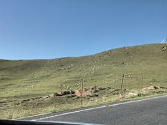 -青海湖国家重点风景名胜区