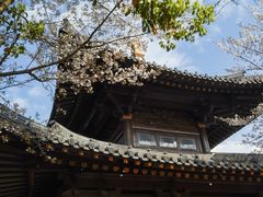 -广富林郊野公园