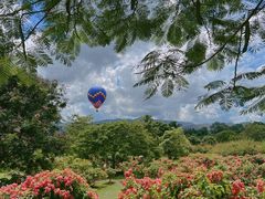-中国科学院西双版纳热带植物园