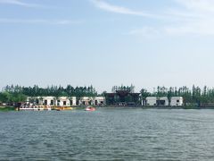 -上海长兴岛郊野公园