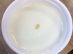宫廷奶酪-清真马记宫廷奶酪(农光里店)