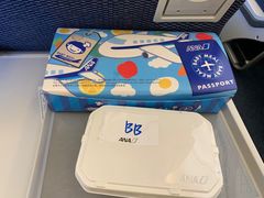 -全日本空输株式会社(上海办事处)