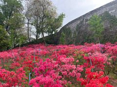 -老门东历史文化街区