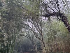 -兰亭风景区