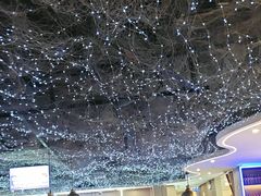 -徐记小怪兽肉蟹煲(中央大街店)