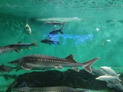 -太平洋海底世界