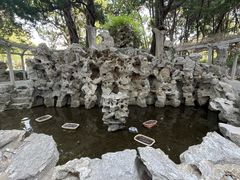 -叶家花园