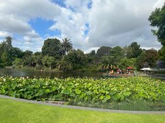 -墨尔本皇家植物园