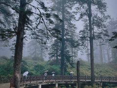 -瓦屋山景区