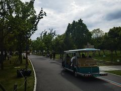 -上海滨江森林公园