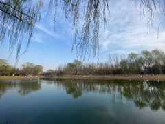 -大兴滨河森林公园
