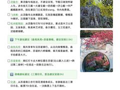 -西湖文化广场