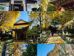 -郑和公园